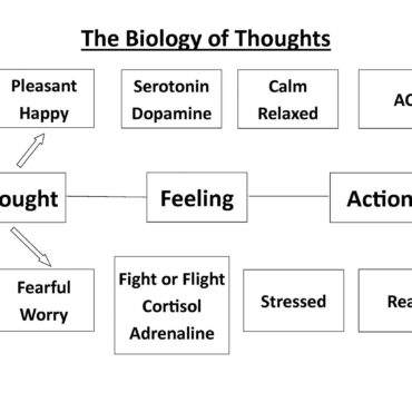 What are you REALLY thinking? The Biology of Thoughts, Part I