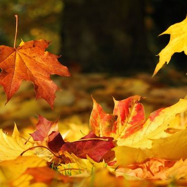 How to Navigate This Season of Change
